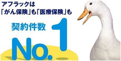 お金が好きな人