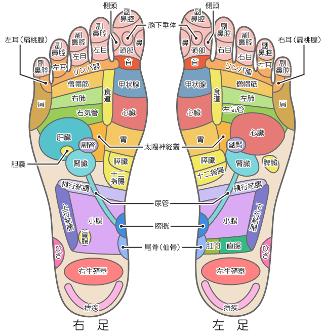 青竹踏み使ってる方