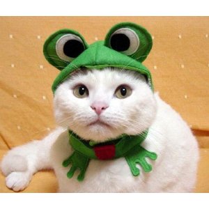 カエルグッズの画像をください。