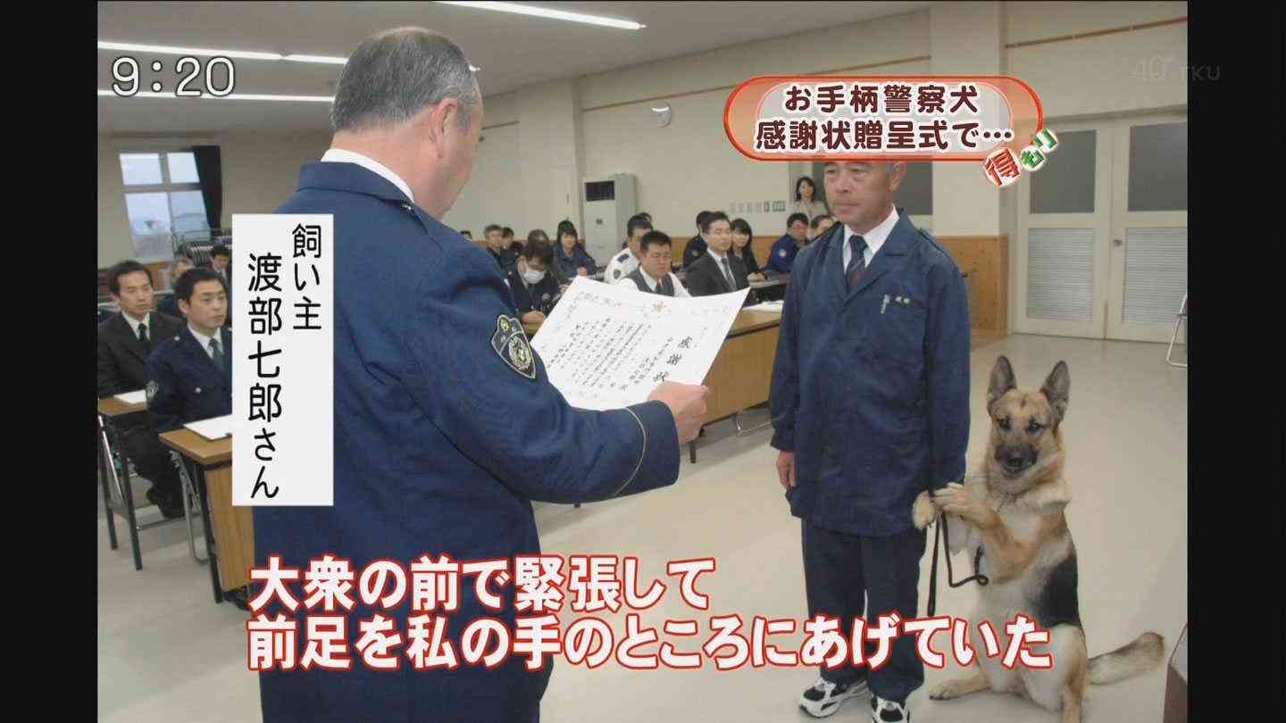 心が洗われるお話、画像ください。