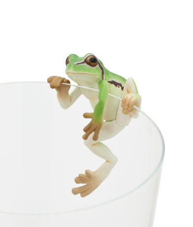 カエルグッズの画像をください。