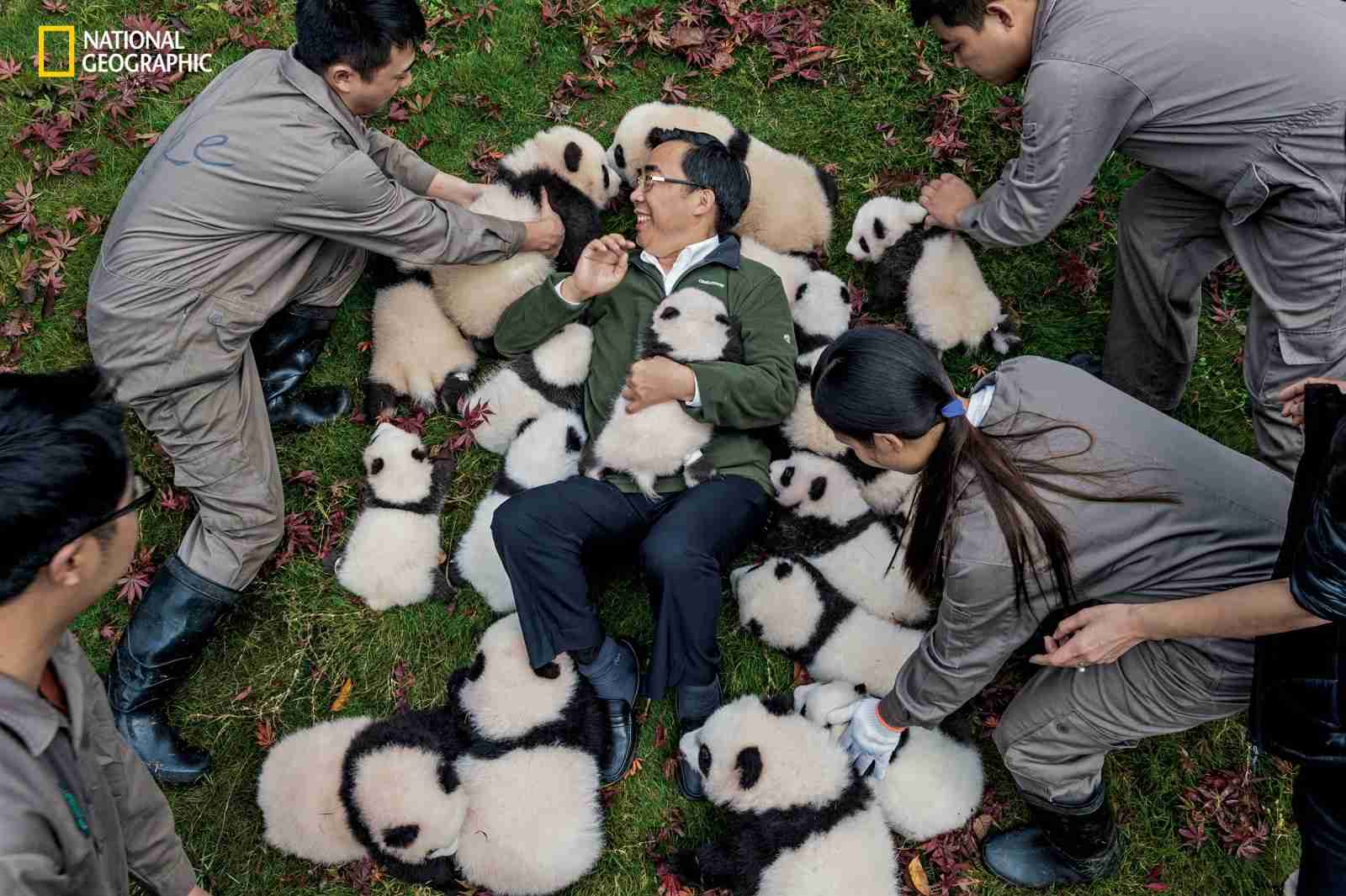 【画像】可愛い動物が溜まりに溜まるトピ