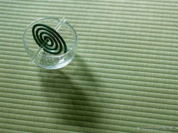 日本の夏らしい画像を貼るトピ