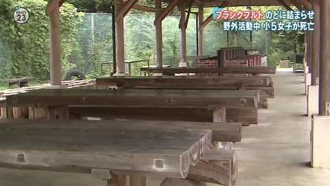 フランクフルトがのどに詰まり小5死亡 学校の野外活動