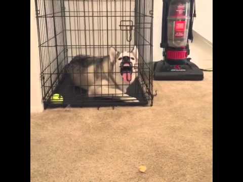 I can't stay mad at him - YouTube