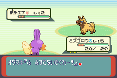 ペットとして飼いたいポケモン