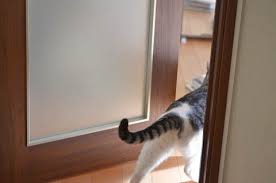 猫あるある画像