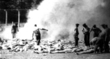 アドルフ・ヒトラーとナチスと血液型A : ヒトラーとナチス親衛隊はＡ型だった - livedoor Blog（ブログ）