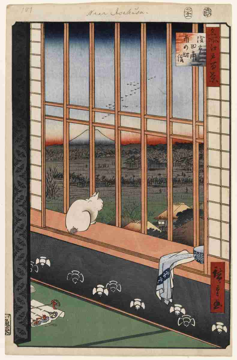 猫あるある画像
