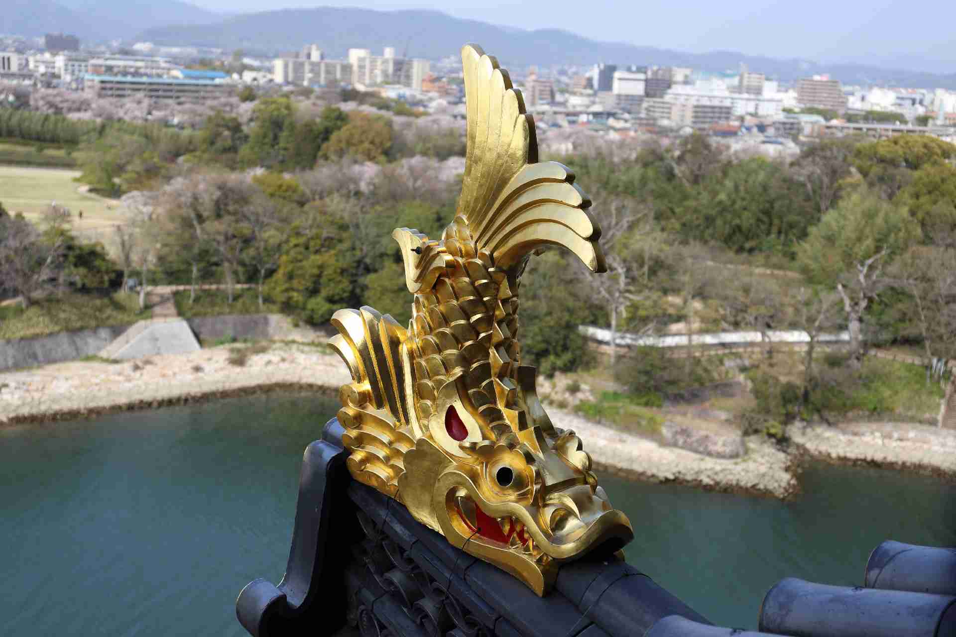 地元を思い出す画像