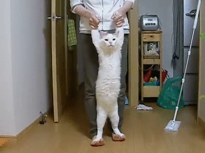 ガルちゃんで画像(サイト)を貼り付ける方法&練習Part12