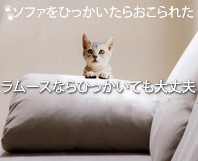 インテリア好きな人～！