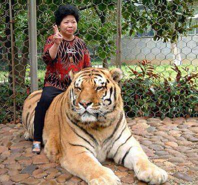 異種だけど仲良しの動物の画像