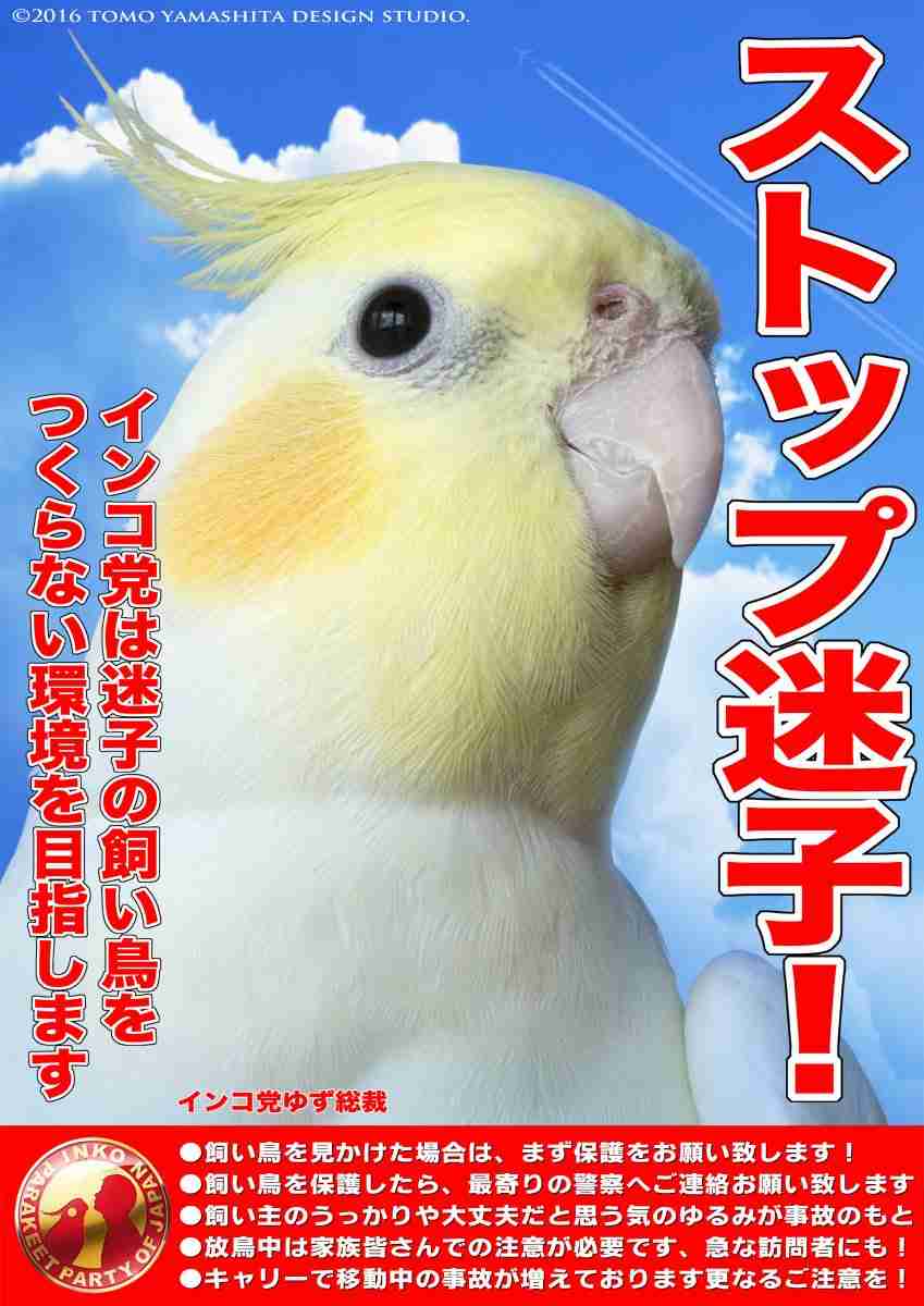 インコ４羽、ゴミ集積所で保護　名古屋、港署「捨てた可能性が高く残念。生き物には命がある。持ち主は名乗り出て」