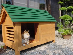 マイホームをあきらめた方