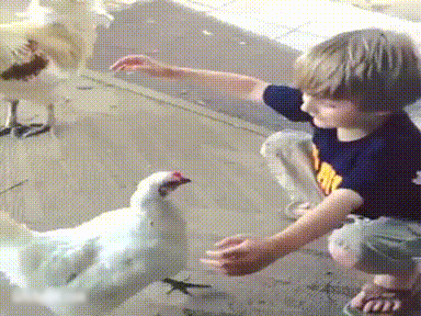 見たい動画や画像をリクエストすると優しい人が貼ってくれるトピ