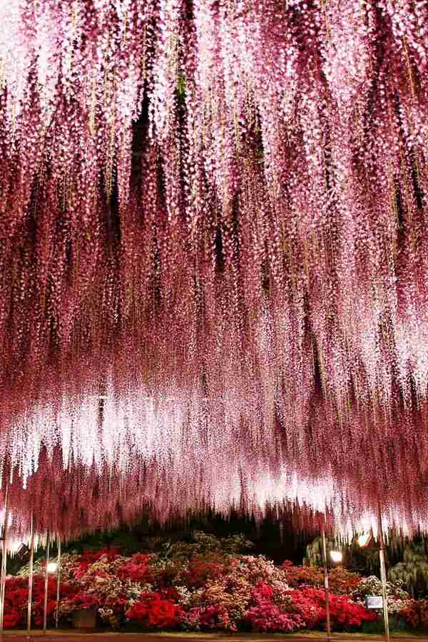 綺麗な庭園の画像を貼るトピ。