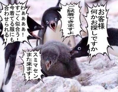 服屋で接客されるのが好きな人!