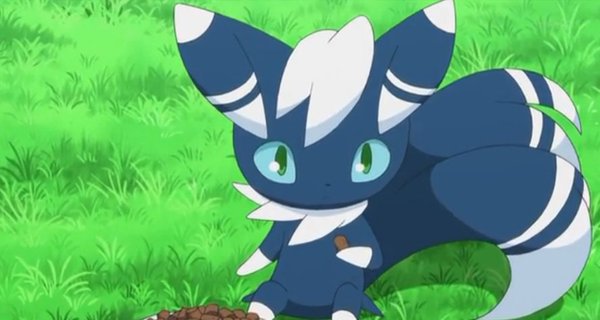 彼氏にしたいポケモン！(笑)