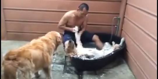 なんとなく疲れてる人がまったり回復するトピ