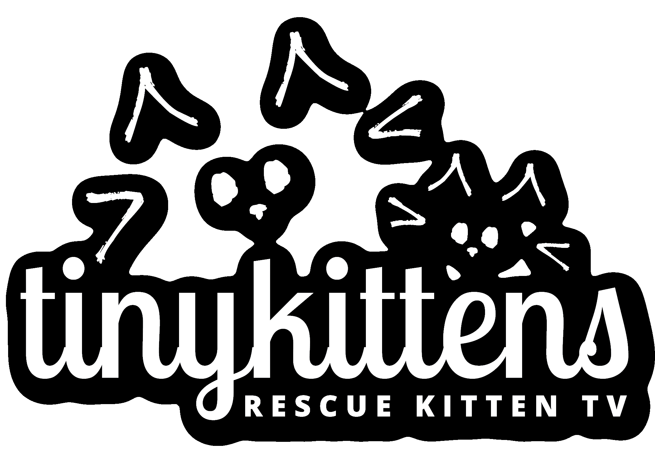 TinyKittens Rescue Kitten TV - Rescuing locally, educating globally.