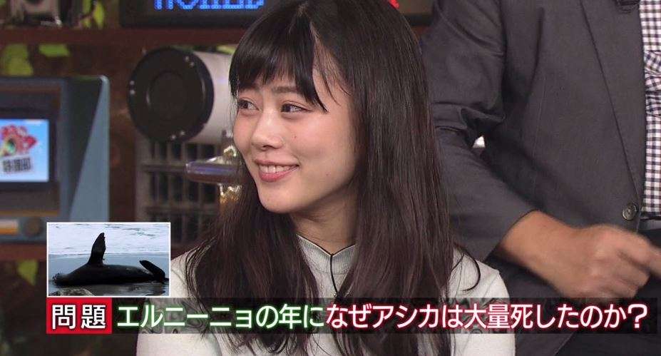 今週の「とと姉ちゃん」【常子、小さな幸せを大事にする】