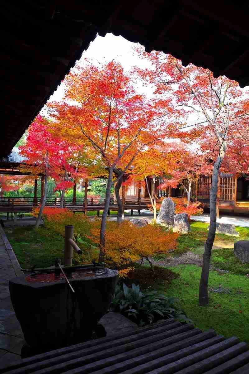綺麗な庭園の画像を貼るトピ。