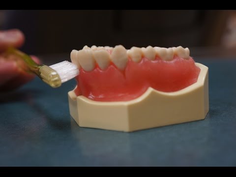 正しい歯磨きの仕方を知っている人はほぼいません。あなたはどうですか？ - YouTube