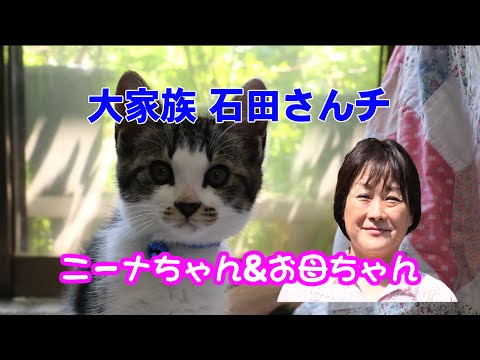 【実況&感想】密着20年!大家族石田さんチ 夫婦は円満別居!?末っ子も新生活で大騒ぎだSP