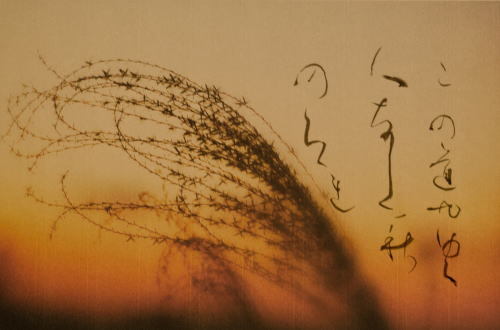 わび、さび、の画像下さい。