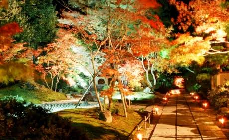 綺麗な庭園の画像を貼るトピ。