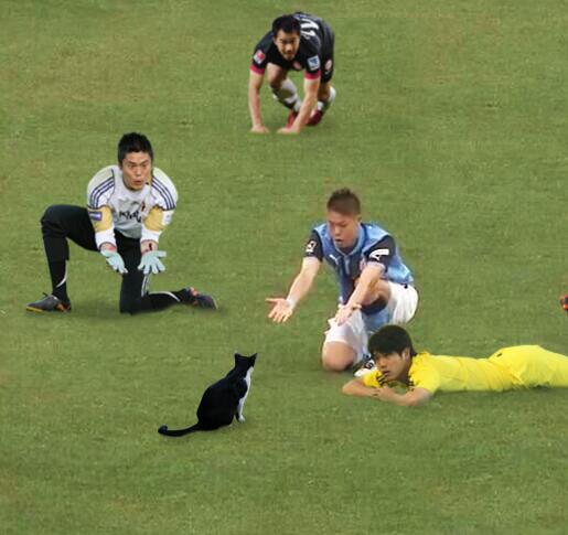 画像で遊ぼうのトピ