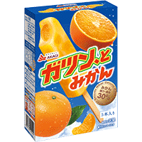 オススメの箱アイス