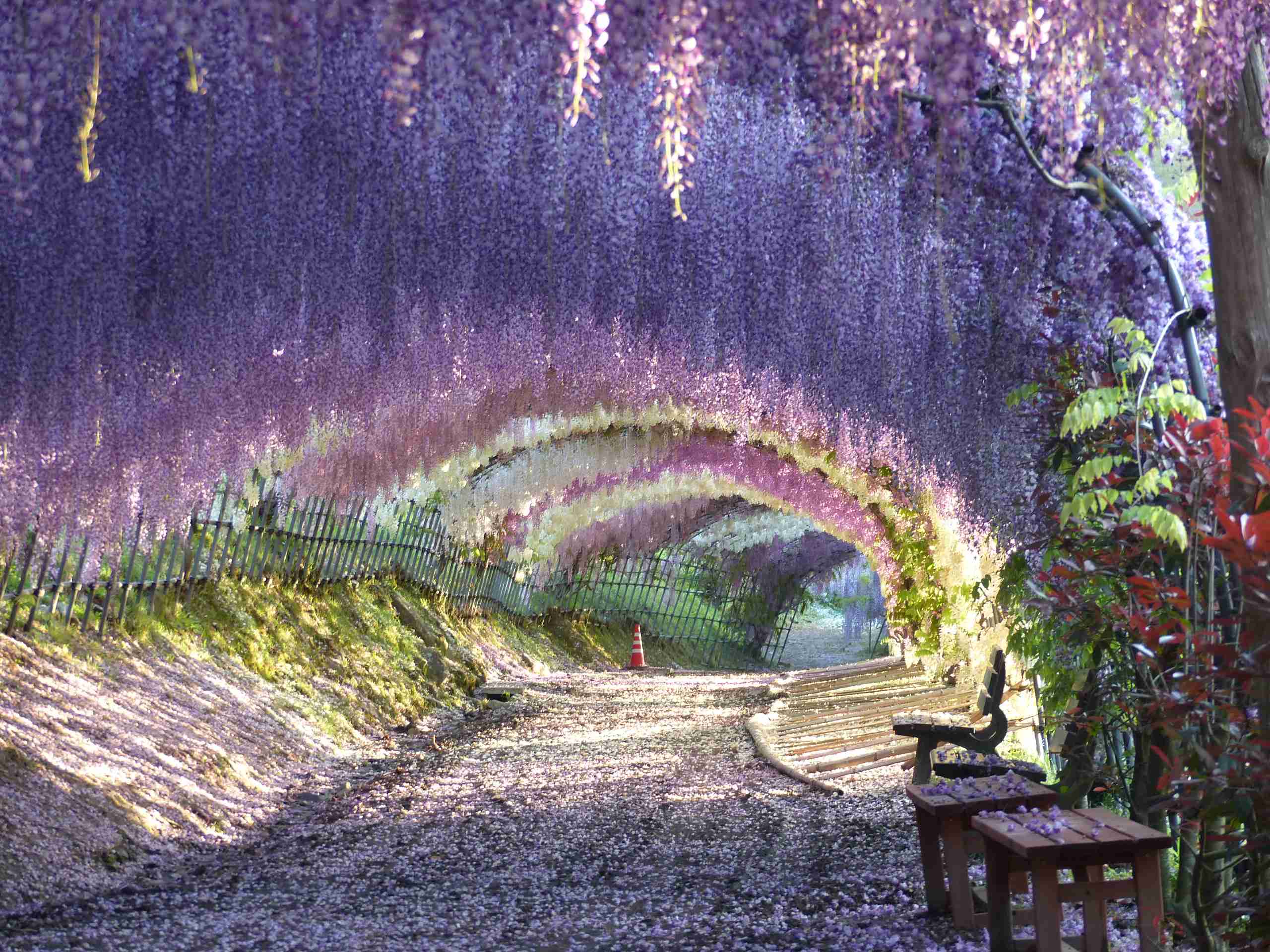 綺麗な庭園の画像を貼るトピ。