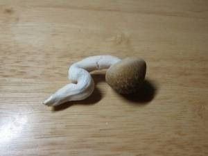 【閲覧注意】痛~い画像を貼るトピ