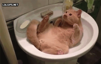 猫の「ω」の画像ください!