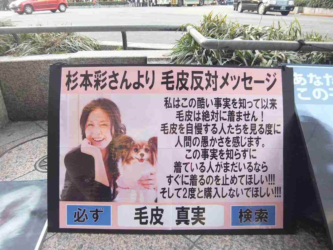 好感度があがる画像