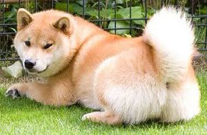 平凡な映画タイトルを考えるトピ