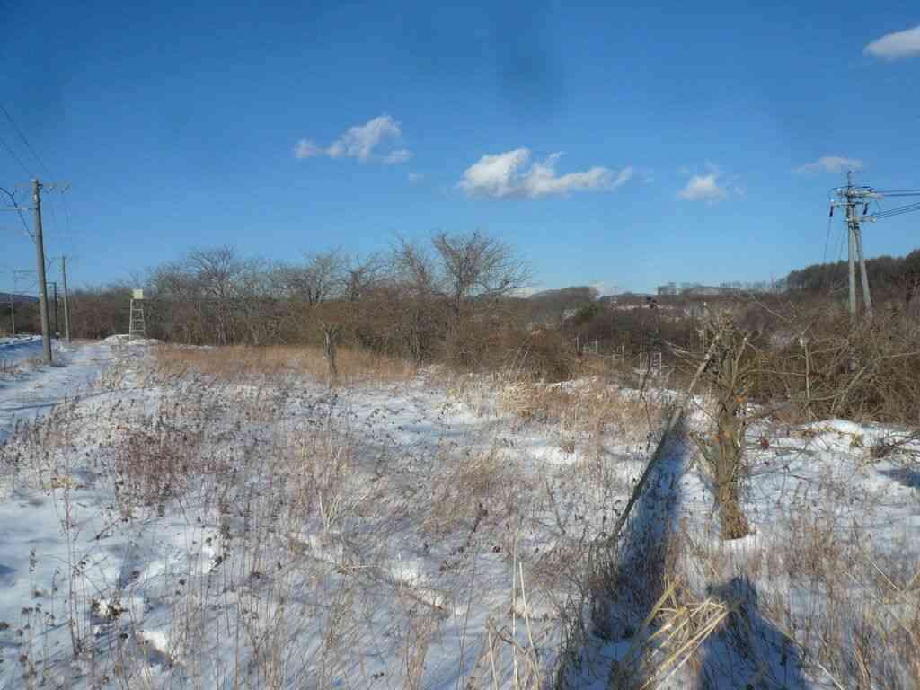 【これは酷い】撮り鉄オタ、写真を撮るのに邪魔だからと桜の木を無断で切り倒す…しなの鉄道がツイート