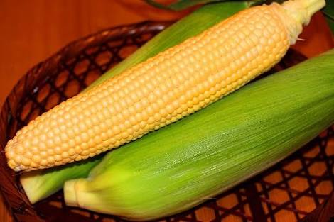 意外にも生で食べられる野菜