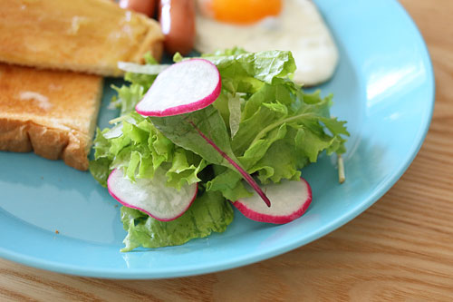 サラダに使う野菜について