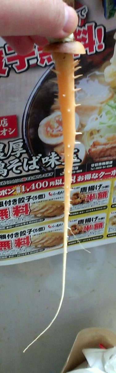 【閲覧注意?】ニンジンの様子がなにかおかしい…これって?