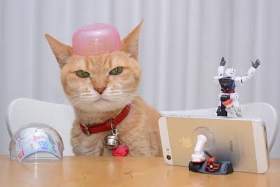 【動物限定】決め顔コレクション
