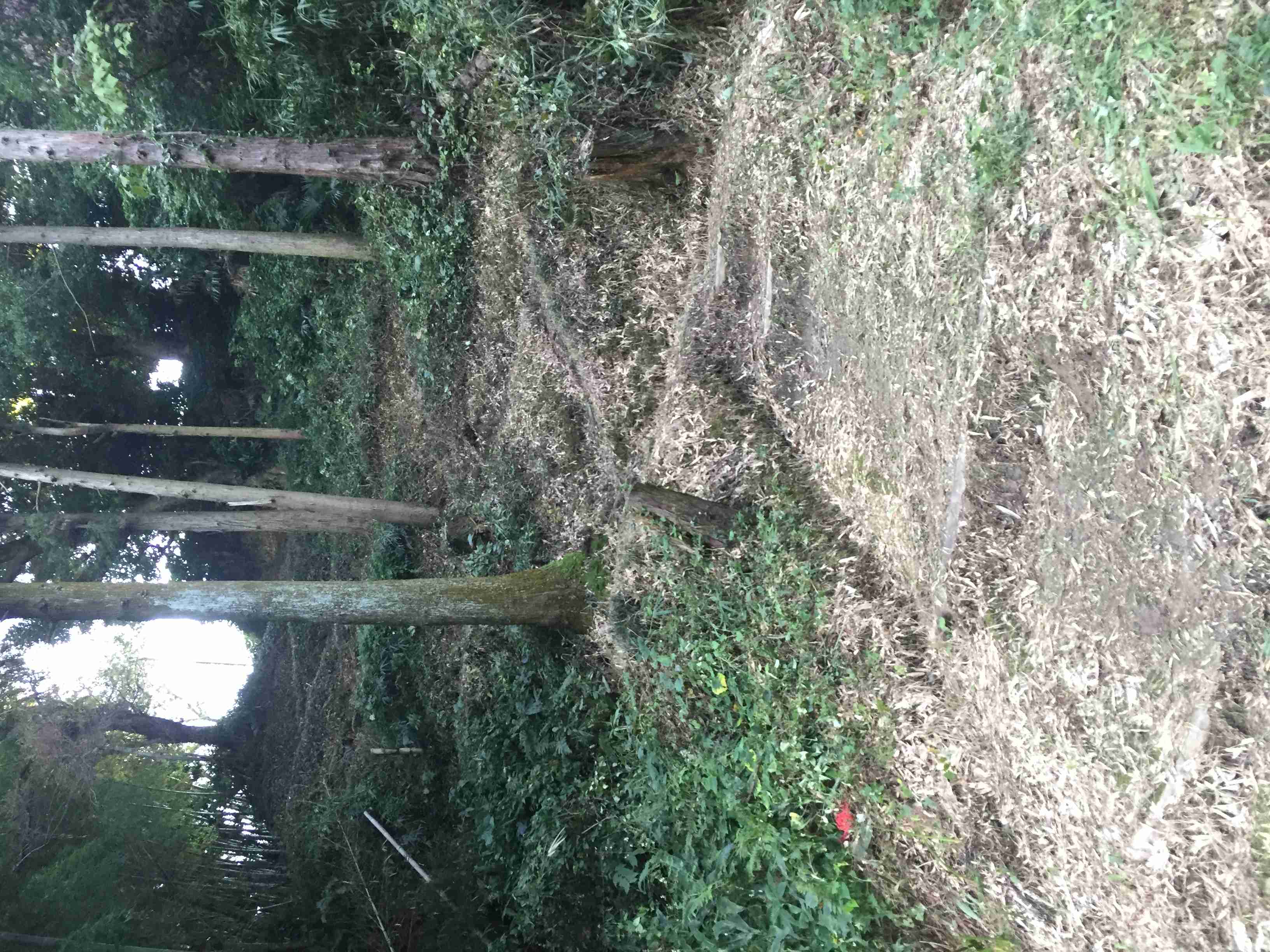 田舎のイメージ