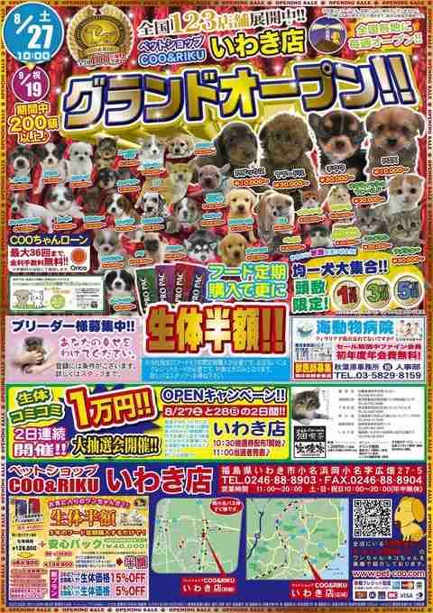ペットに月々どのくらいお金かかってますか？