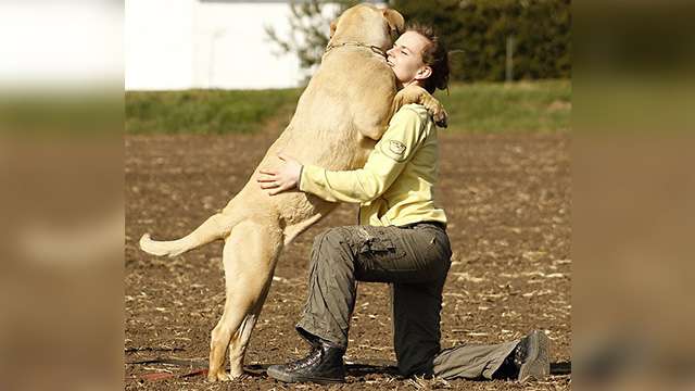 大型犬はいるのにどうして大型猫はいないの？←戦闘力が違うから | ANIMALive