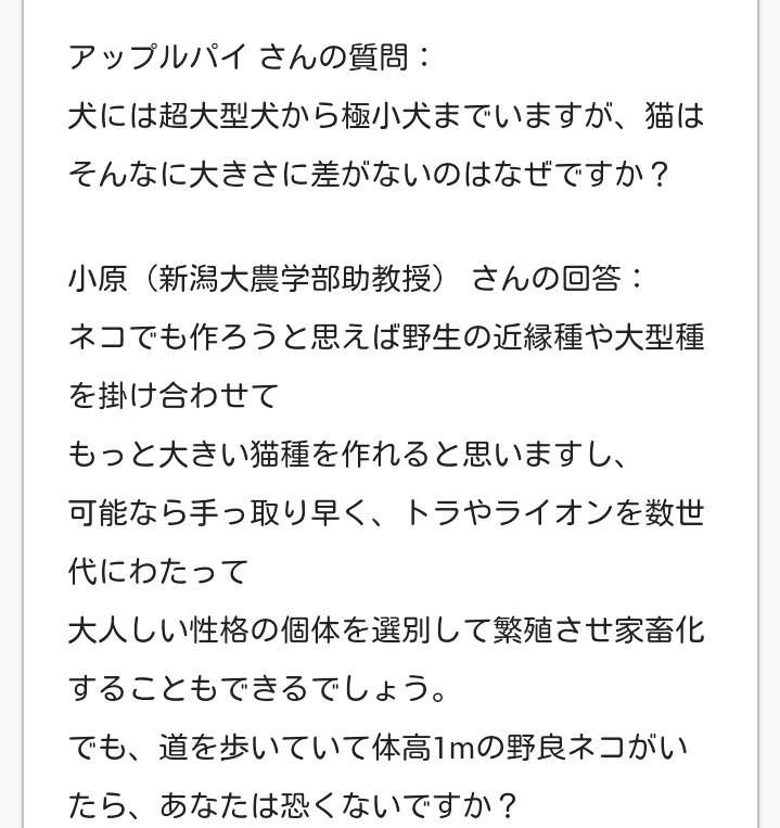 大型犬はいるのにどうして大型猫はいないの?←戦闘力が違うから