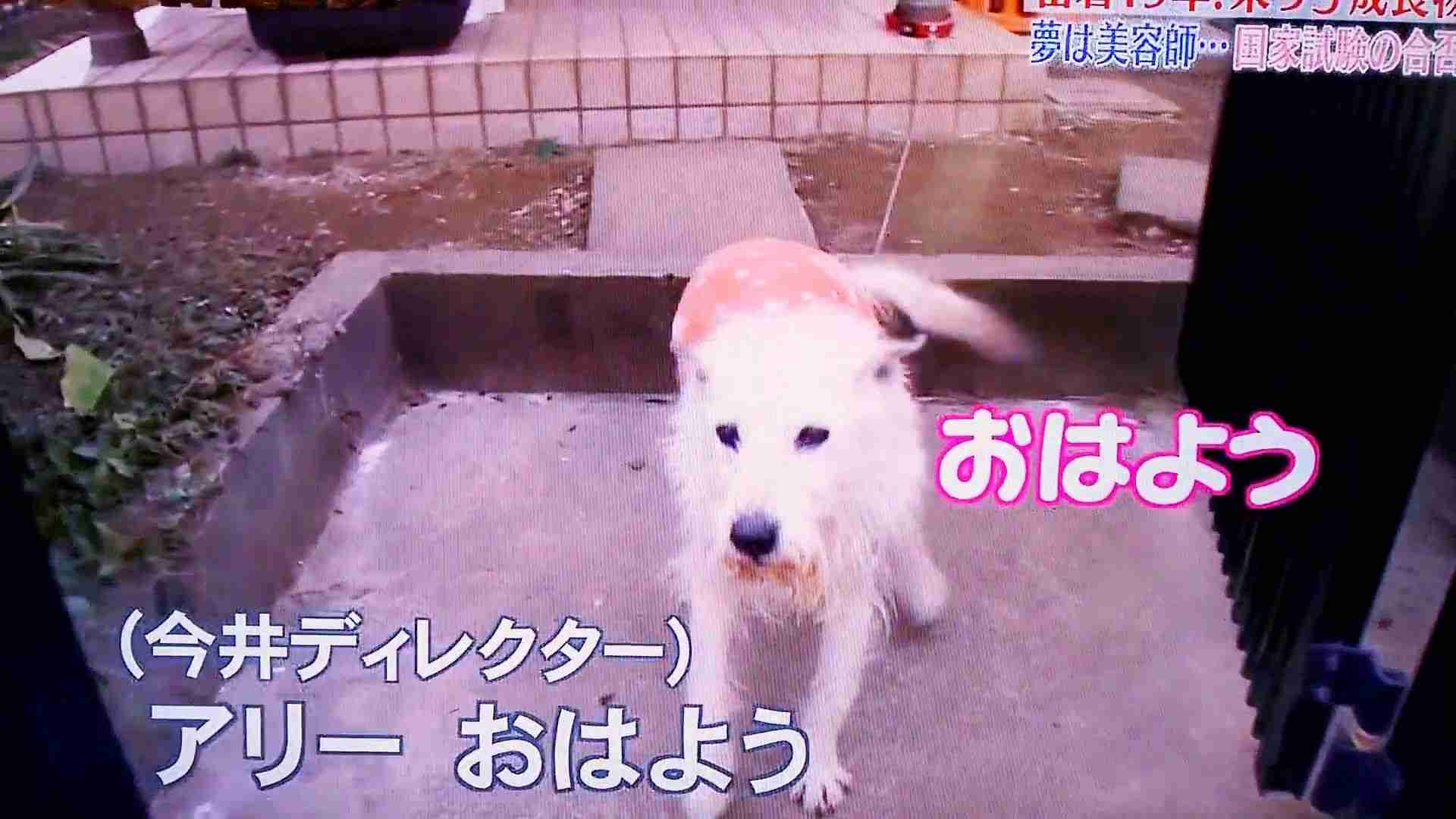 【実況&感想】密着20年！大家族石田さんチ 夫婦は円満別居！？末っ子も新生活で大騒ぎだSP