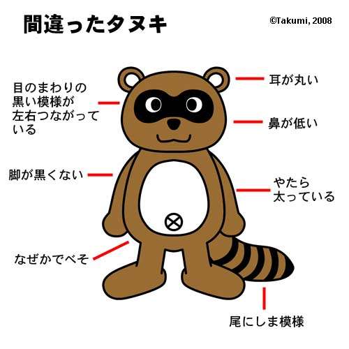 たぬき顔が似合うファッション