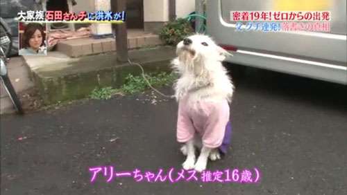 石田 さん ち 別居 大家族石田さんち16年9月2日放送内容ネタバレ 長女と三男について触れた 円満別居に隼司の美容師生活 Sj News Documents Openideo Com 石田 さん ち 別居 大家族石田さんち16年9月2日放送内容ネタバレ 長女と三男について触れた 円満別居に隼司の美容師生活 Sj News Documents Openideo Com